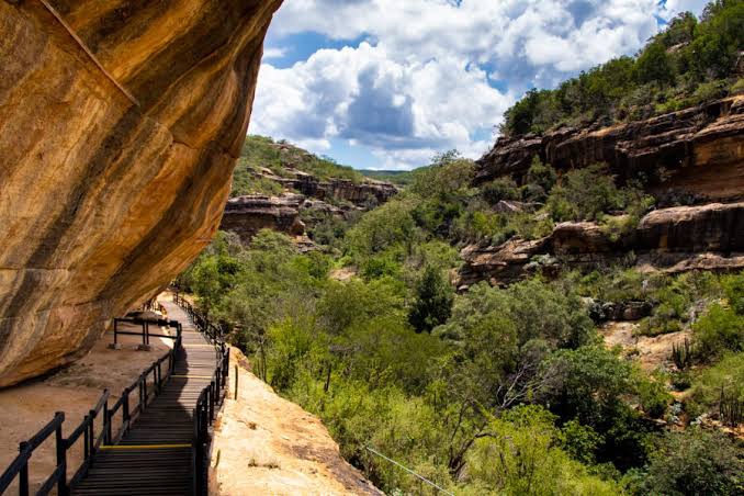  Serra da Capivara reabre com redução de 50% dos visitantes e algumas restrições