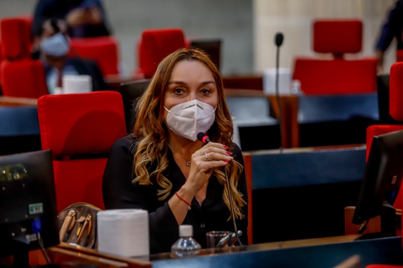  Legislativo do Piauí foi o 1º do Nordeste a adotar sessões virtuais, diz Flora Izabel