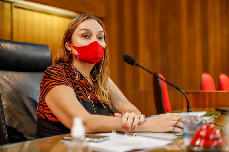  Flora Izabel propõe ensino da Lei Maria da Penha nas escolas públicas