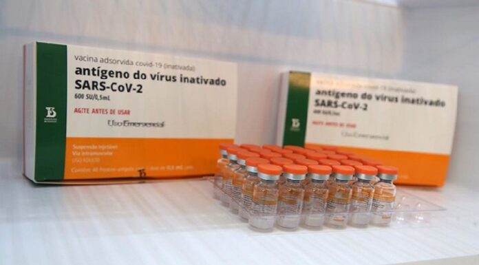  Piauí recebe novo lote com 32.400 doses da CoronaVac nesta quarta-feira (3)