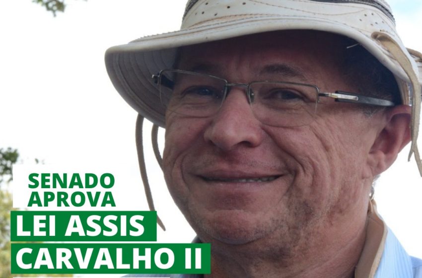  Lei Assis Carvalho: Senado aprova projeto para apoiar agricultura familiar