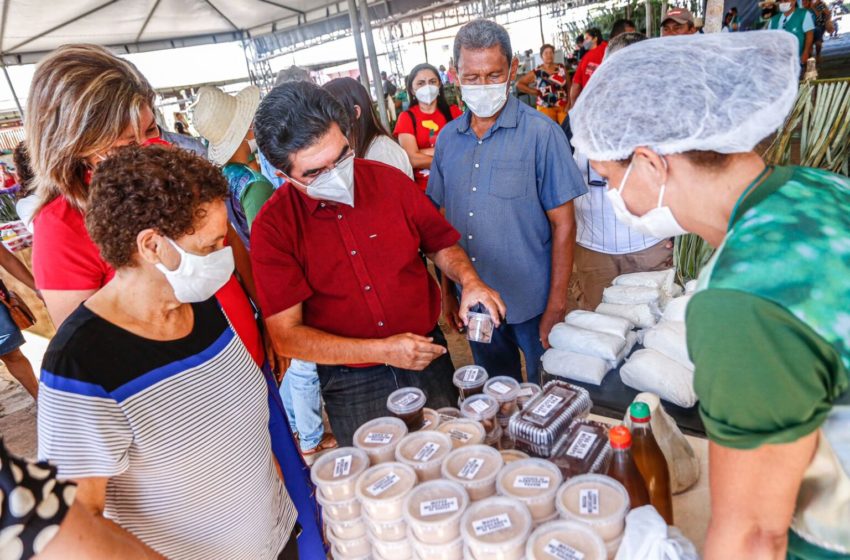  Vice-governadora Regina participa de eventos da agricultura familiar no Território dos Cocais