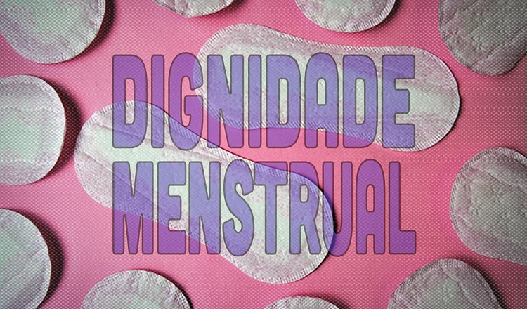  Parlamentares entregam manifesto coletivo pela dignidade menstrual