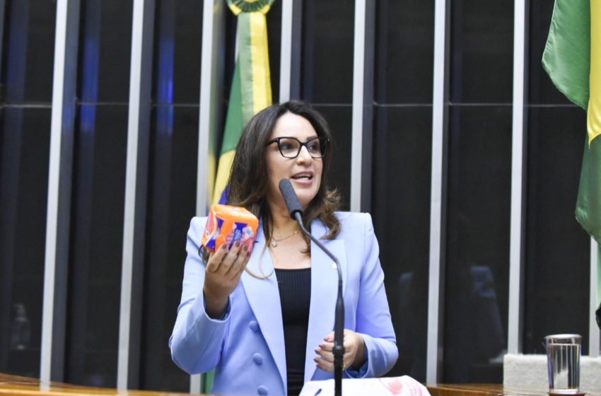  Rejane Dias leva kit de absorventes à Câmara e exalta ação no Piauí