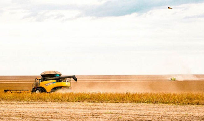  Fapepi busca aumentar em 30% produtividade agrícola no Piauí