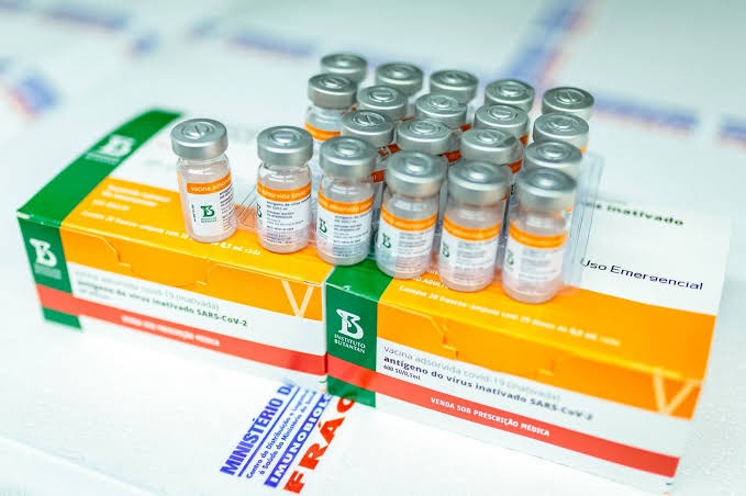 Piauí recebe novo lote de Coronavac para completar esquema vacinal de crianças