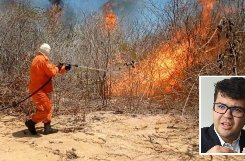  Secretaria vai abrir inquéritos para apurar a causa de incêndios