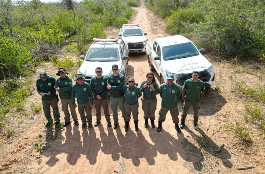 Índice de desmatamento ilegal no Piauí diminui 52,21% em 2023, menor do Matopiba