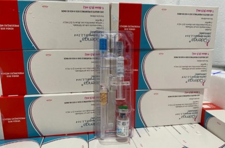 Piauí recebe 5 mil doses da vacina contra a dengue; veja quem pode tomar